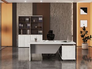 Кабинет руководителя Vilas