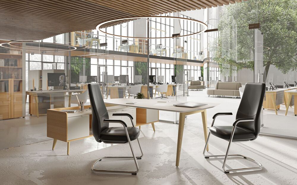 Кабинет руководителя Remo