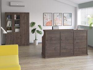 Кабинет руководителя Bern