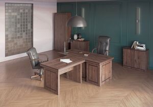 Кабинет руководителя Bern