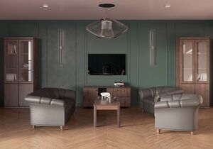 Кабинет руководителя Bern