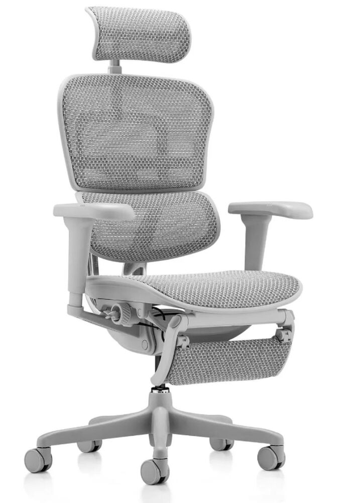 Кресло для руководителя Ergohuman Ultra Legrest