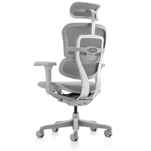 Кресло для руководителя Ergohuman Ultra