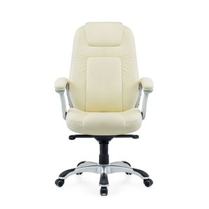 Кресло руководителя Bruny Premium