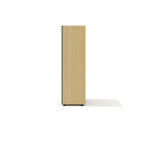 Шкаф с глухими дверьми