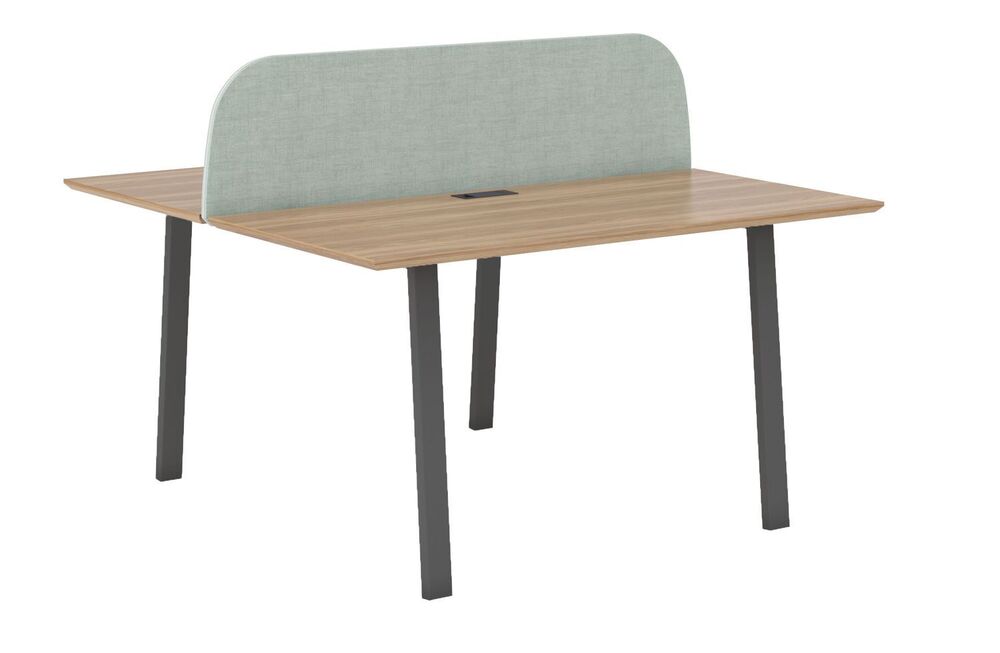 Рабочая станция на 2 места с экраном